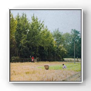 调教+虐+疼+尿+便器+乳夹文
